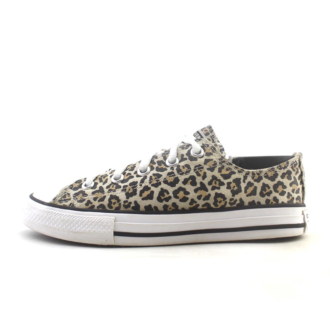 Converse Chuck Taylor All Star