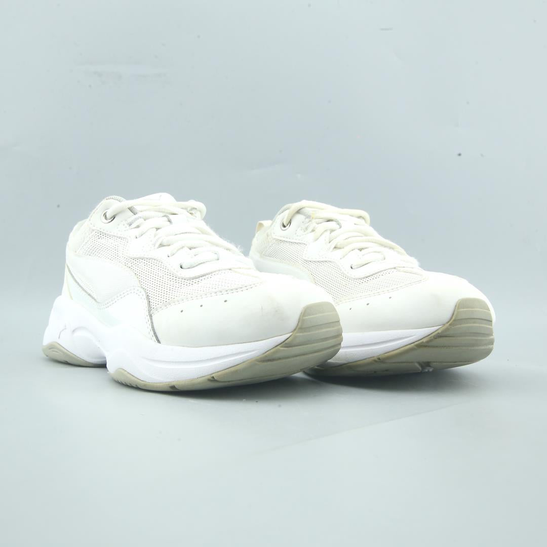 Puma Cilia