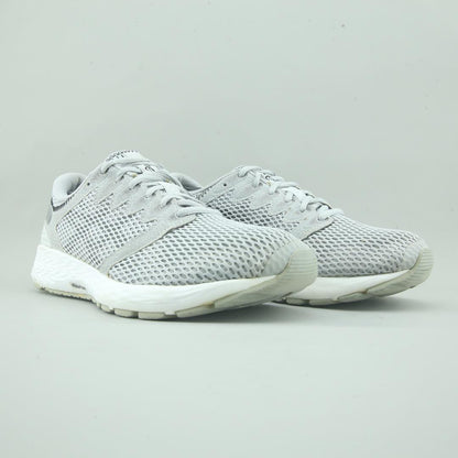 Asics Roadhawk Ff 2