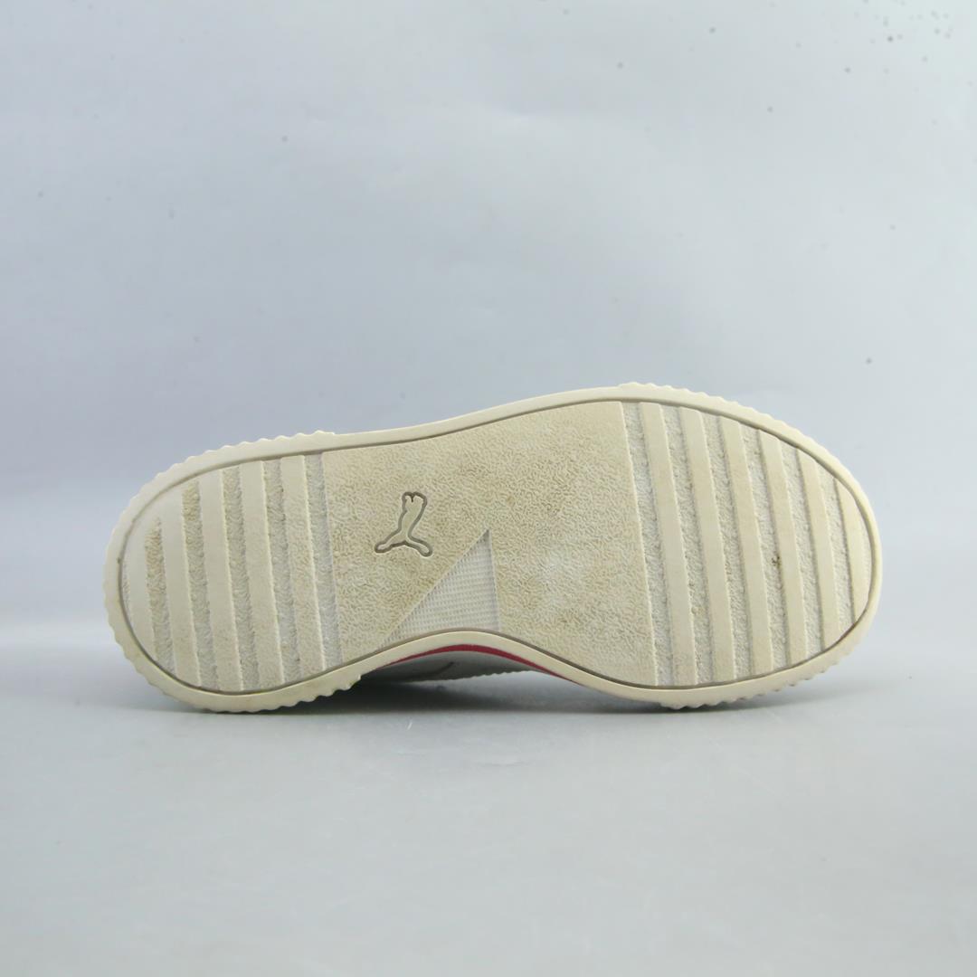 Puma Carina L
