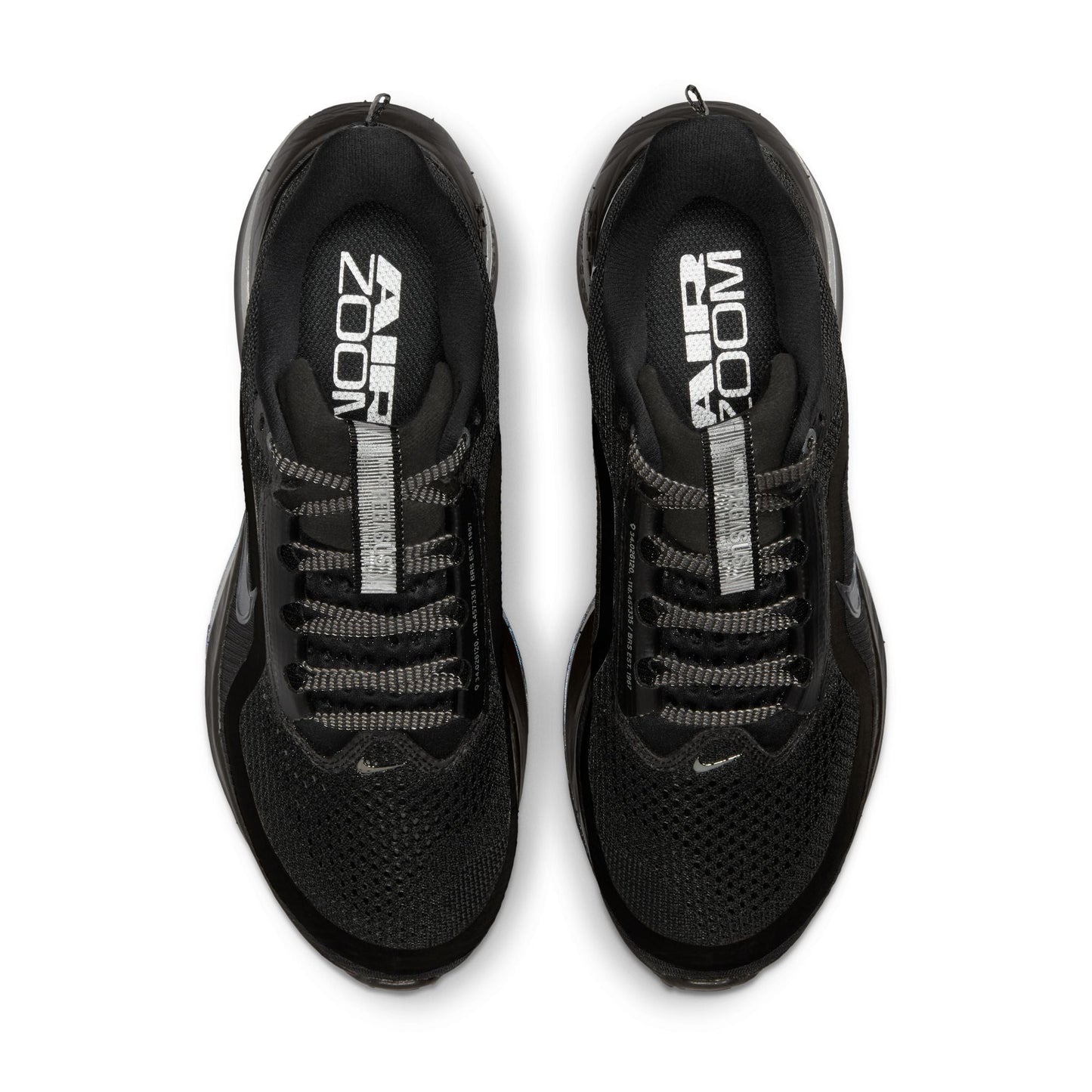 Womens Nike Pegasus Premium - Black Metallic Silver