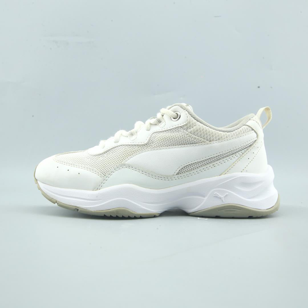 Puma Cilia