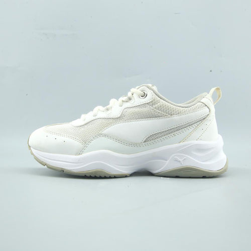 Puma Cilia