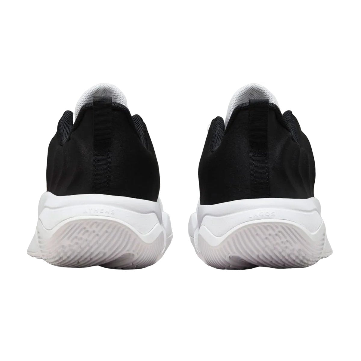 Nike Giannis Immortality 4 Championship (Gs)